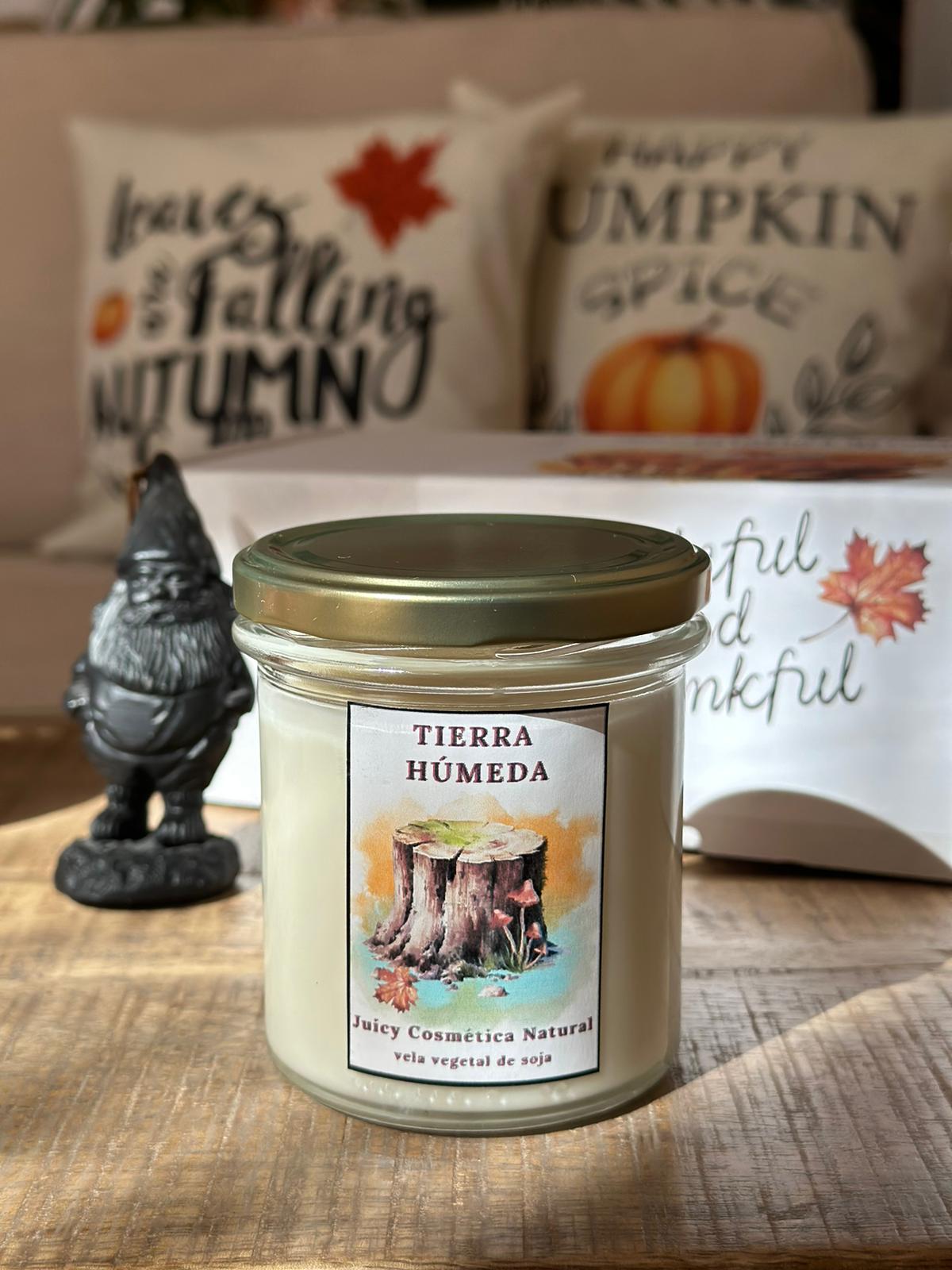 Pack velas otoño